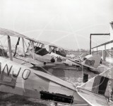 G-ANJH - de Havilland Tiger Moth at Croydon in 1954