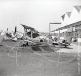G-ANJO - de Havilland Tiger Moth at Croydon in 1954