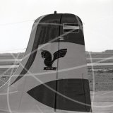 EP-AEX - Douglas DC-6 B at Dubai in 1969