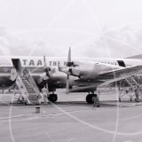 VH-ECD - Lockheed Electra L-188 at Sydney Mascot Airport in 1960